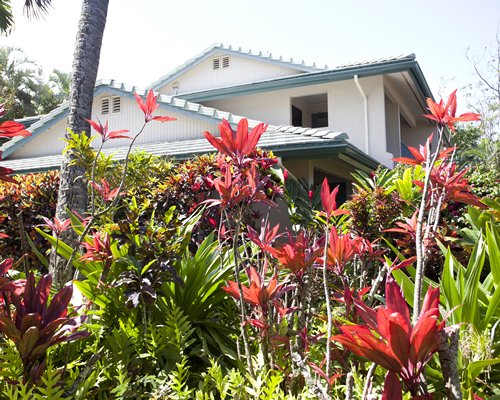 paradisetravelbydena logo